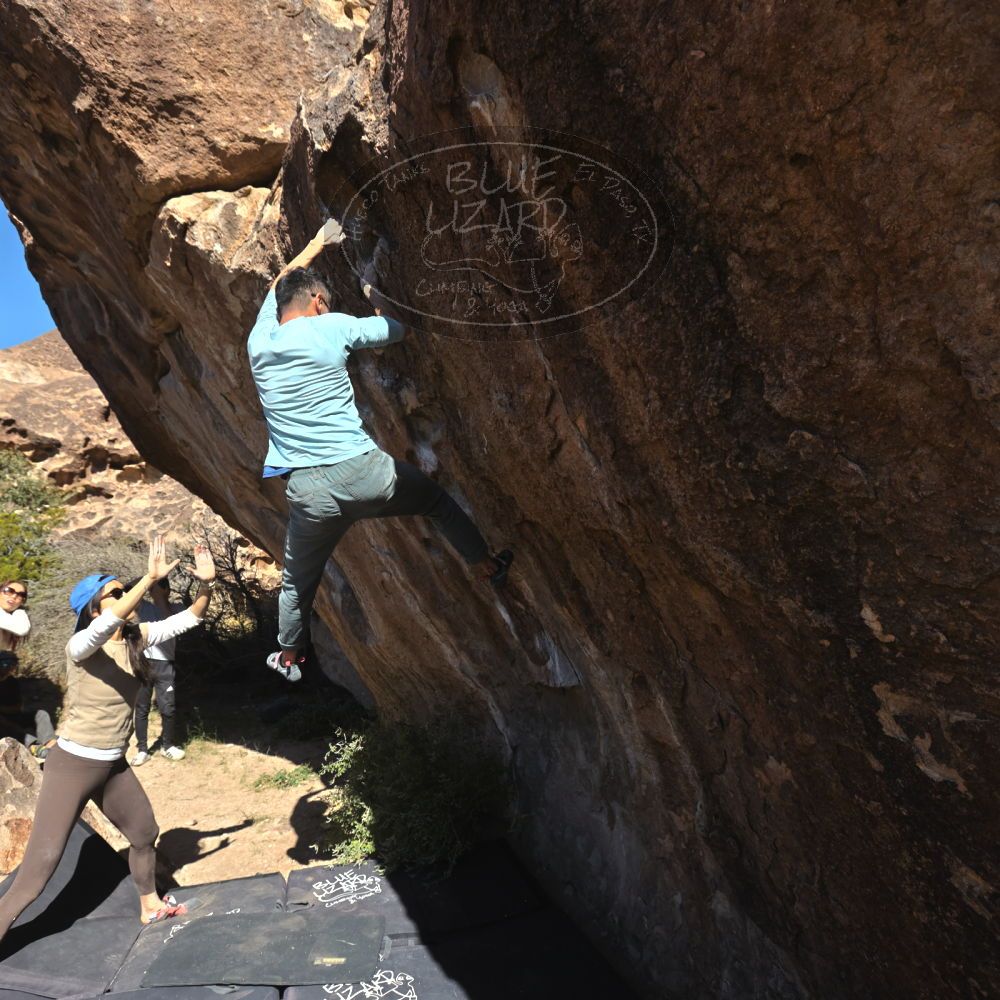 

Filename: SRM_20251110_1141080.jpg
Aperture: f/5.6
Shutter Speed: 1/800
Body: Canon EOS R6
Lens: Canon EF 16-35mm f/2.8 L