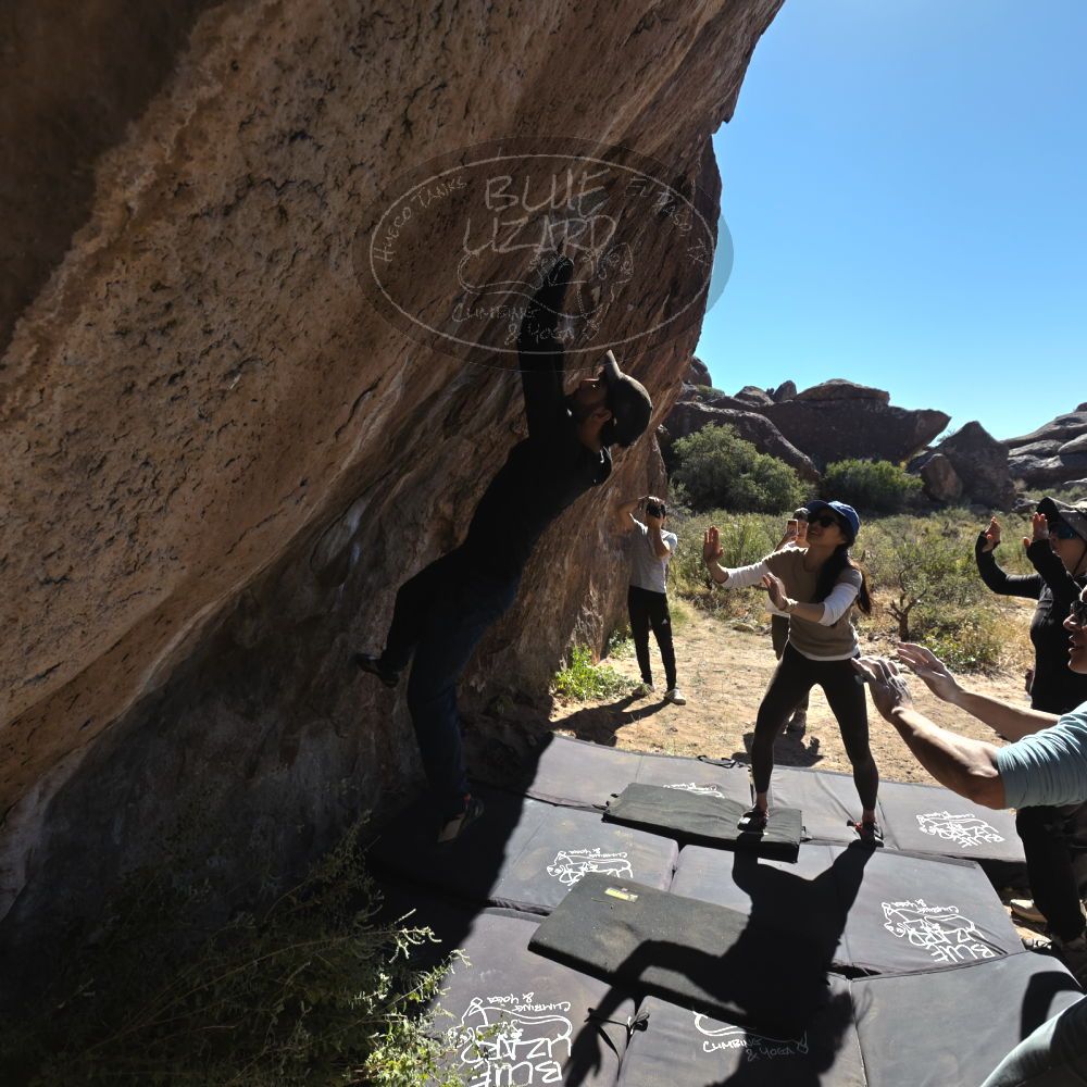 

Filename: SRM_20251110_1144170.jpg
Aperture: f/5.6
Shutter Speed: 1/800
Body: Canon EOS R6
Lens: Canon EF 16-35mm f/2.8 L