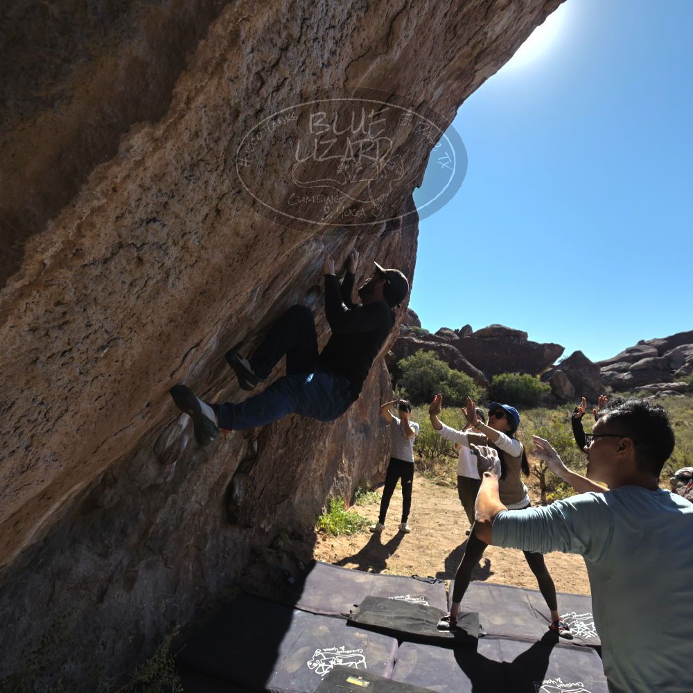 

Filename: SRM_20251110_1144210.jpg
Aperture: f/5.6
Shutter Speed: 1/800
Body: Canon EOS R6
Lens: Canon EF 16-35mm f/2.8 L