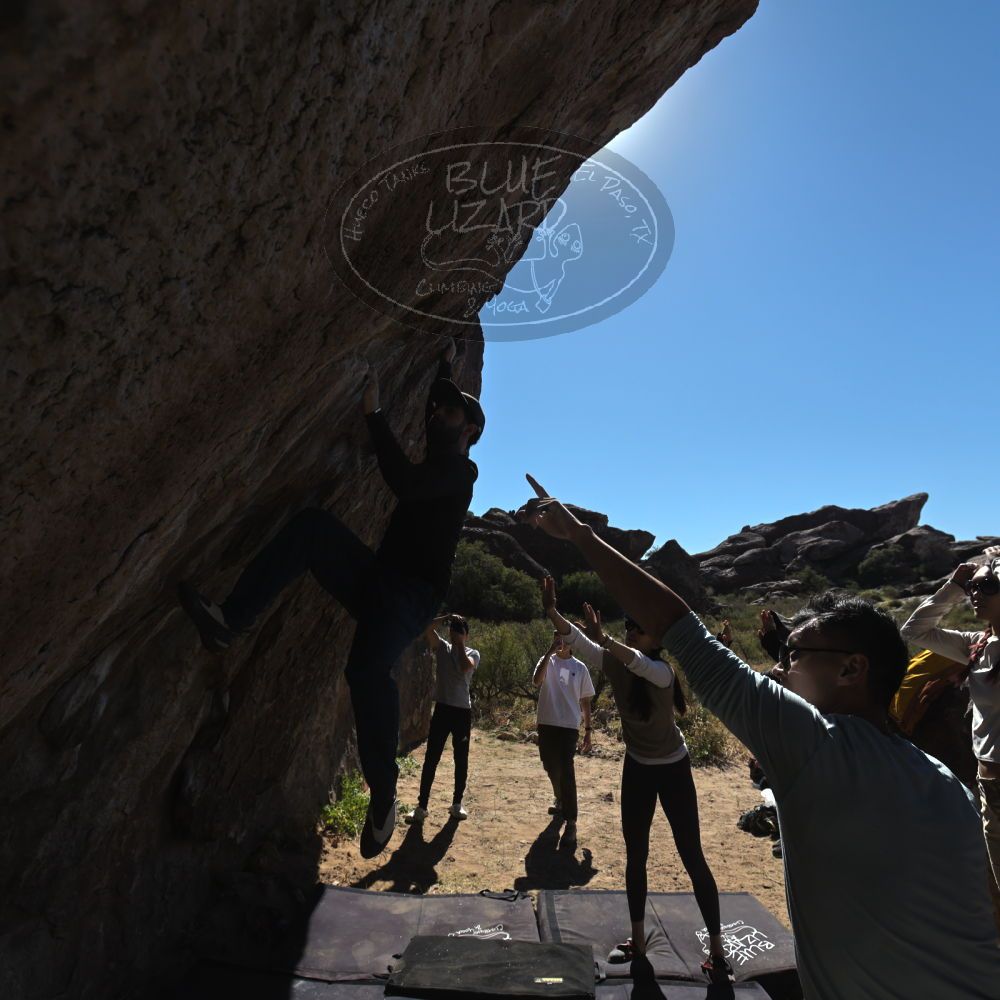 

Filename: SRM_20251110_1144280.jpg
Aperture: f/5.6
Shutter Speed: 1/800
Body: Canon EOS R6
Lens: Canon EF 16-35mm f/2.8 L