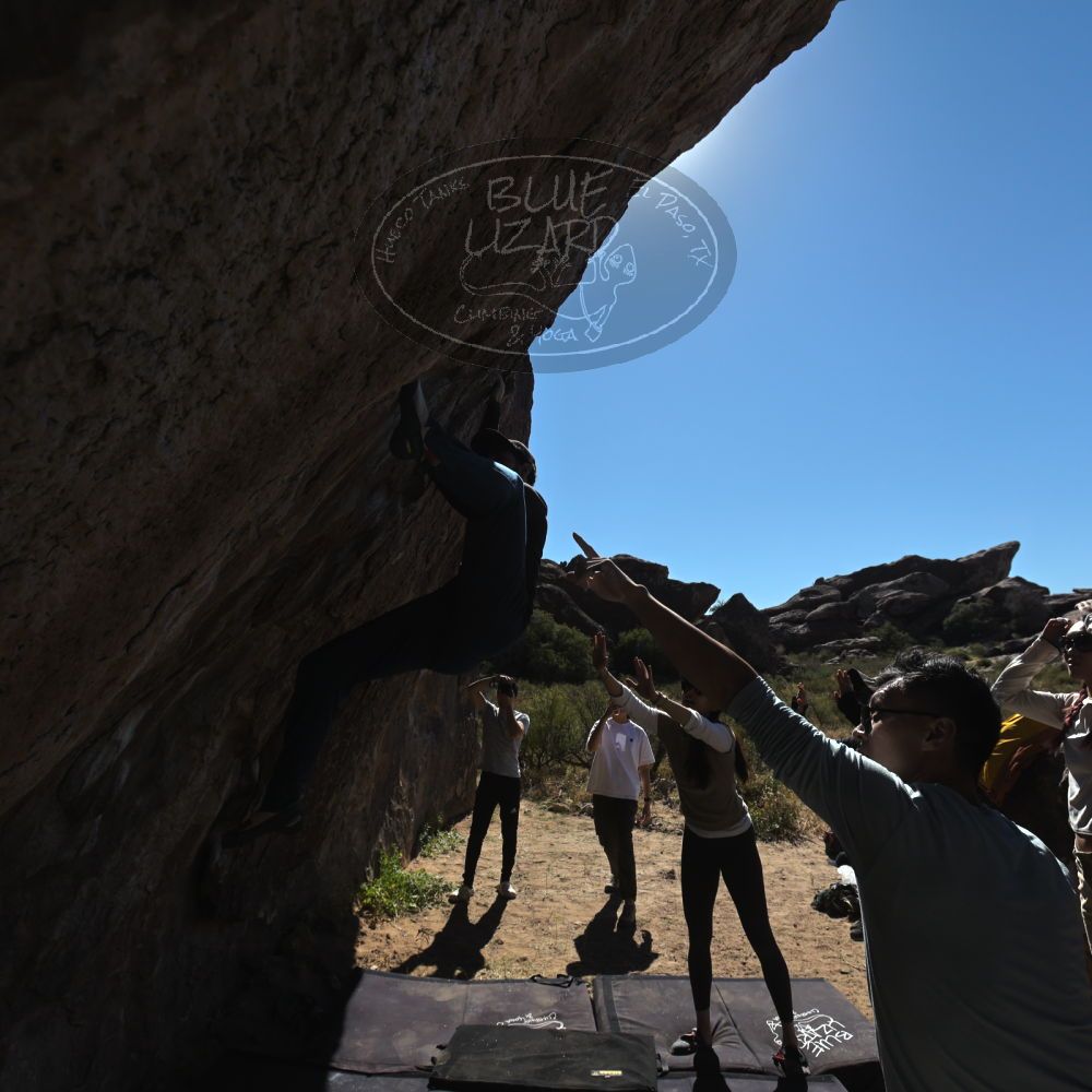 

Filename: SRM_20251110_1144290.jpg
Aperture: f/5.6
Shutter Speed: 1/800
Body: Canon EOS R6
Lens: Canon EF 16-35mm f/2.8 L