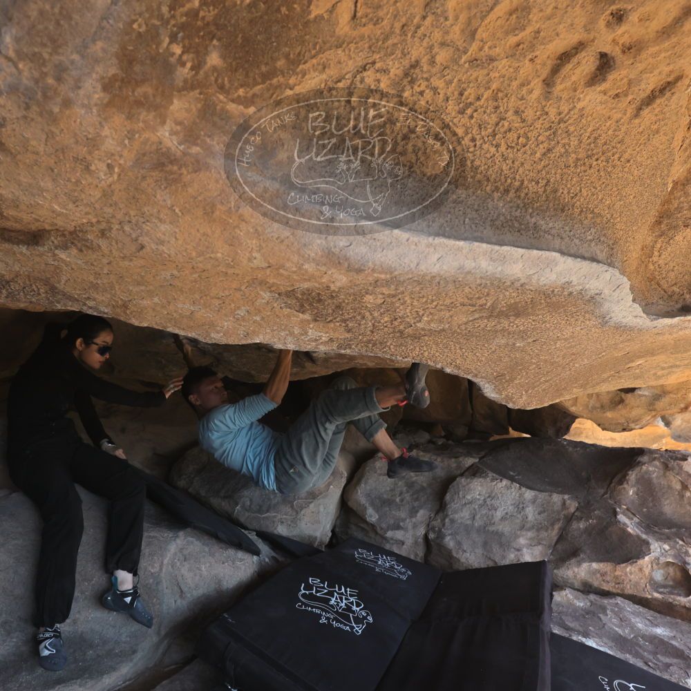 

Filename: SRM_20251110_1253400.jpg
Aperture: f/5.6
Shutter Speed: 1/500
Body: Canon EOS R6
Lens: Canon EF 16-35mm f/2.8 L