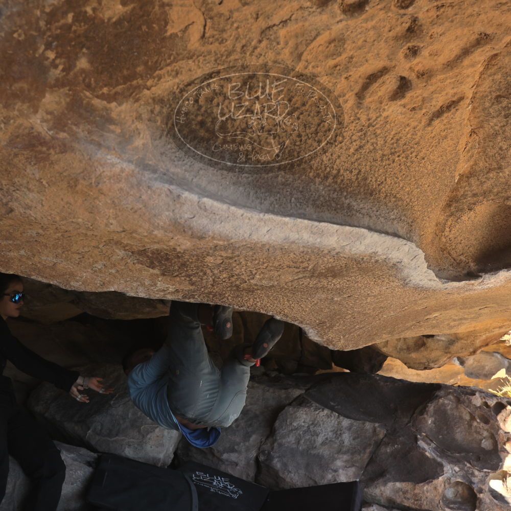 

Filename: SRM_20251110_1253460.jpg
Aperture: f/5.6
Shutter Speed: 1/500
Body: Canon EOS R6
Lens: Canon EF 16-35mm f/2.8 L