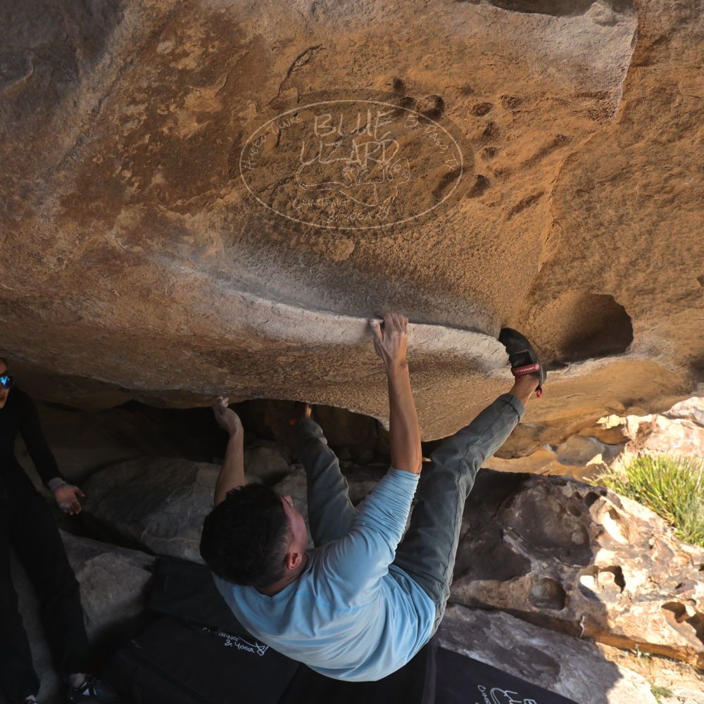 

Filename: SRM_20251110_1253590.jpg
Aperture: f/5.6
Shutter Speed: 1/500
Body: Canon EOS R6
Lens: Canon EF 16-35mm f/2.8 L