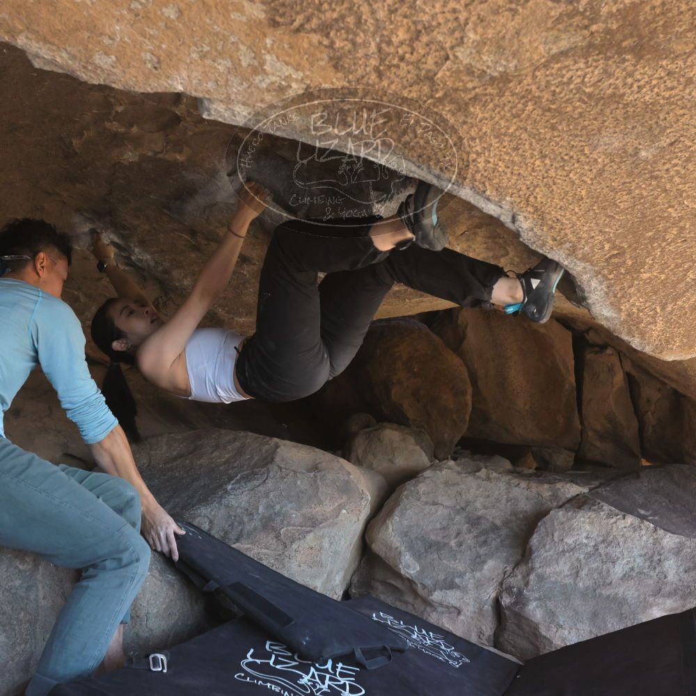 

Filename: SRM_20251110_1314250.jpg
Aperture: f/5.6
Shutter Speed: 1/500
Body: Canon EOS R6
Lens: Canon EF 16-35mm f/2.8 L