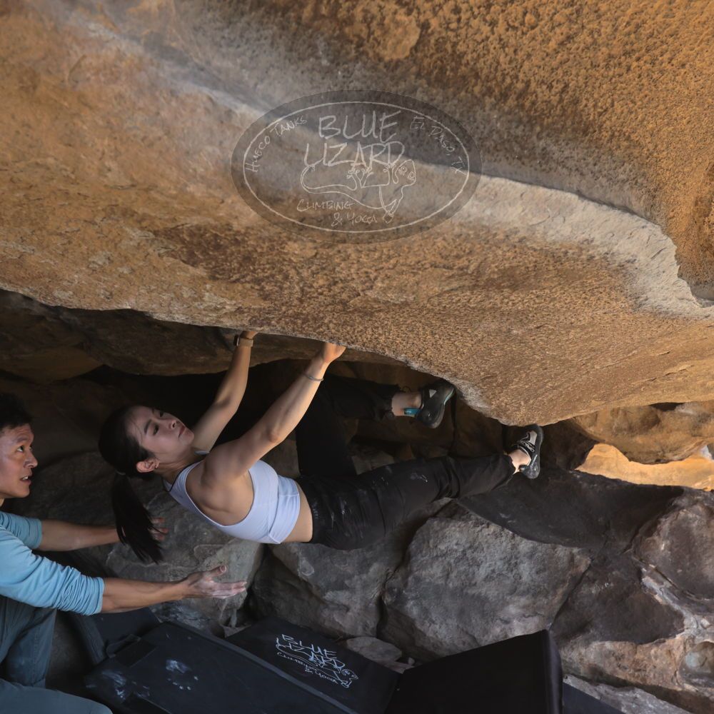 

Filename: SRM_20251110_1314330.jpg
Aperture: f/5.6
Shutter Speed: 1/500
Body: Canon EOS R6
Lens: Canon EF 16-35mm f/2.8 L