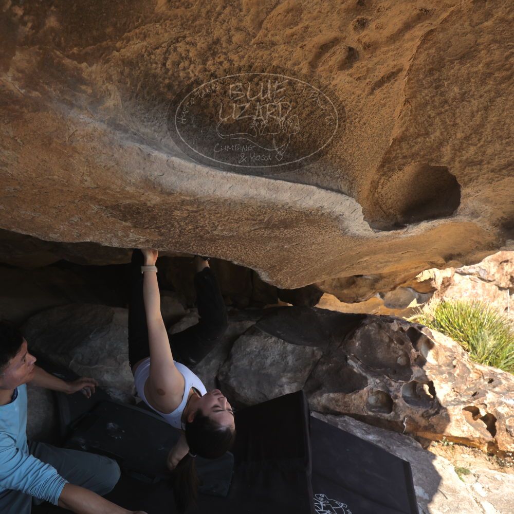 

Filename: SRM_20251110_1314570.jpg
Aperture: f/5.6
Shutter Speed: 1/500
Body: Canon EOS R6
Lens: Canon EF 16-35mm f/2.8 L