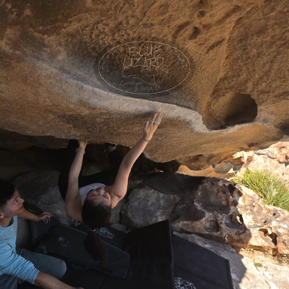 

Filename: SRM_20251110_1314580.jpg
Aperture: f/5.6
Shutter Speed: 1/500
Body: Canon EOS R6
Lens: Canon EF 16-35mm f/2.8 L