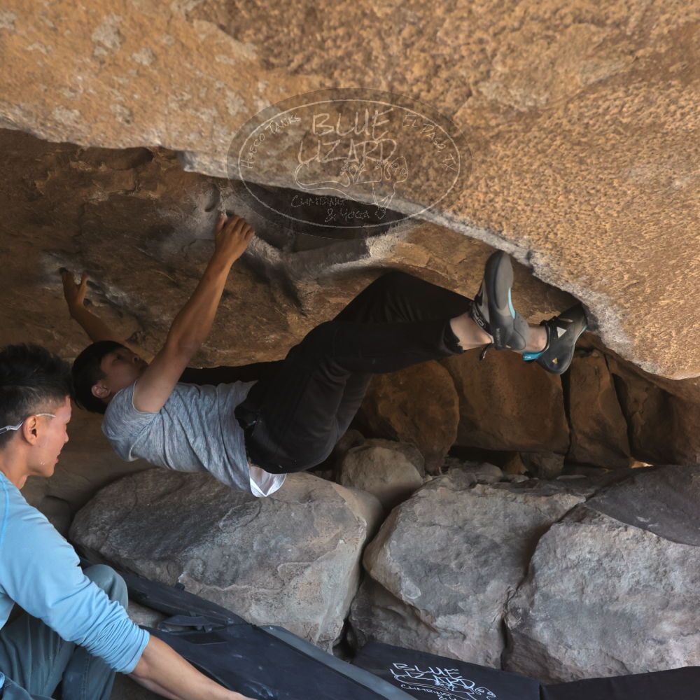 

Filename: SRM_20251110_1325330.jpg
Aperture: f/5.6
Shutter Speed: 1/500
Body: Canon EOS R6
Lens: Canon EF 16-35mm f/2.8 L