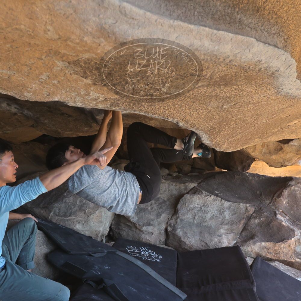 

Filename: SRM_20251110_1325360.jpg
Aperture: f/5.6
Shutter Speed: 1/500
Body: Canon EOS R6
Lens: Canon EF 16-35mm f/2.8 L