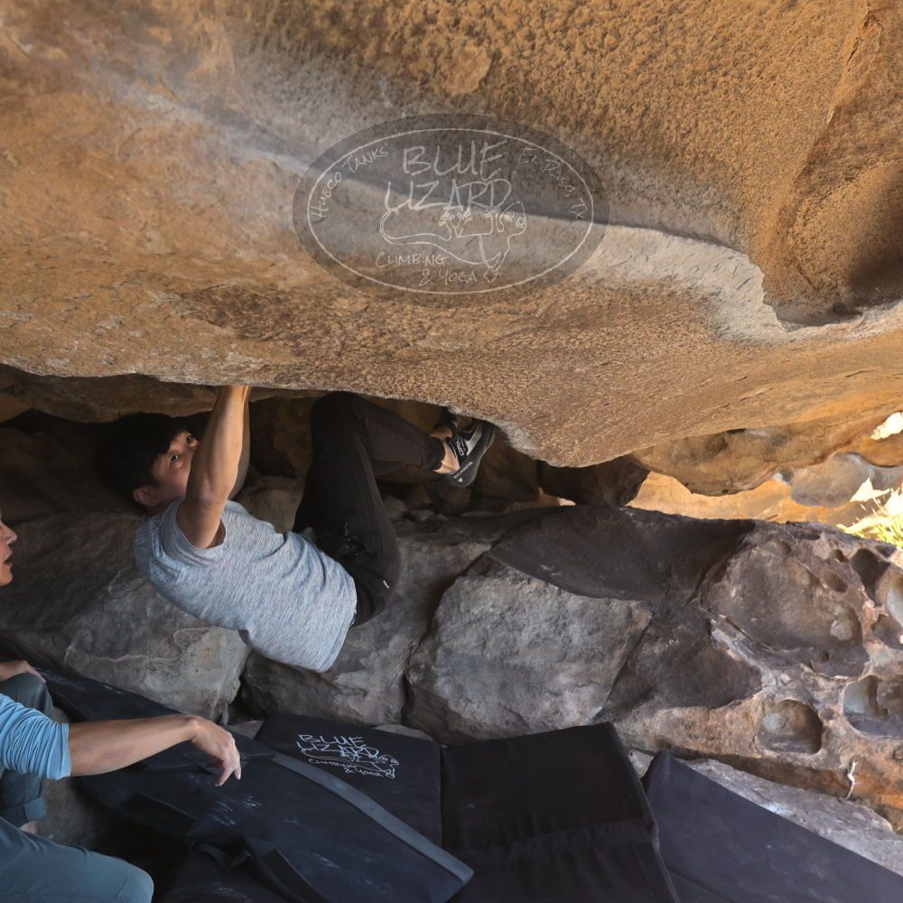 

Filename: SRM_20251110_1325380.jpg
Aperture: f/5.6
Shutter Speed: 1/500
Body: Canon EOS R6
Lens: Canon EF 16-35mm f/2.8 L