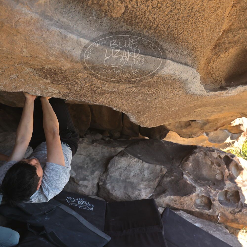 

Filename: SRM_20251110_1325460.jpg
Aperture: f/5.6
Shutter Speed: 1/500
Body: Canon EOS R6
Lens: Canon EF 16-35mm f/2.8 L