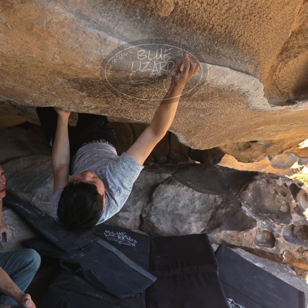 

Filename: SRM_20251110_1325480.jpg
Aperture: f/5.6
Shutter Speed: 1/500
Body: Canon EOS R6
Lens: Canon EF 16-35mm f/2.8 L