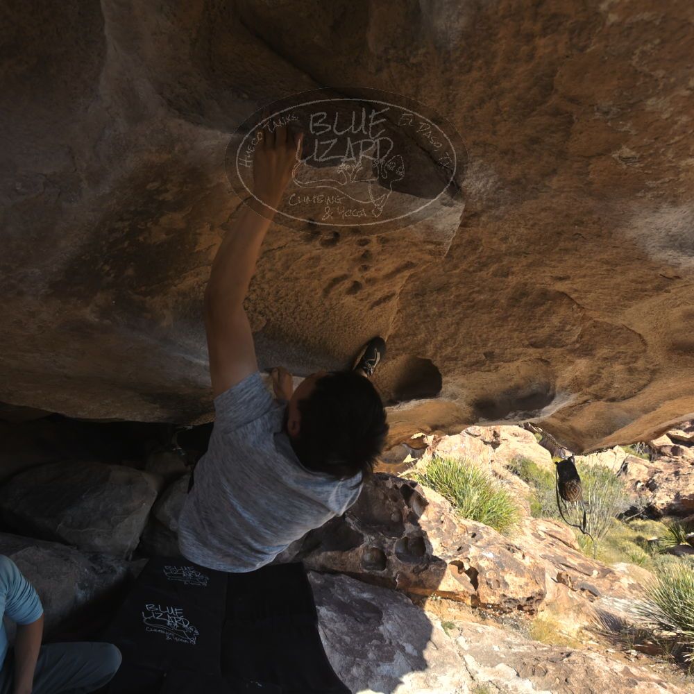 

Filename: SRM_20251110_1326020.jpg
Aperture: f/5.6
Shutter Speed: 1/500
Body: Canon EOS R6
Lens: Canon EF 16-35mm f/2.8 L