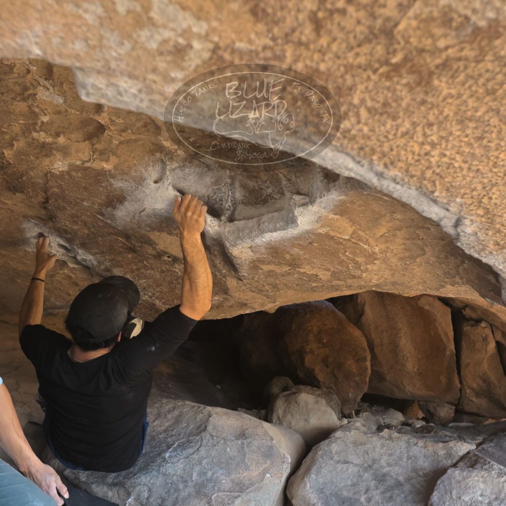 

Filename: SRM_20251110_1331170.jpg
Aperture: f/5.6
Shutter Speed: 1/500
Body: Canon EOS R6
Lens: Canon EF 16-35mm f/2.8 L