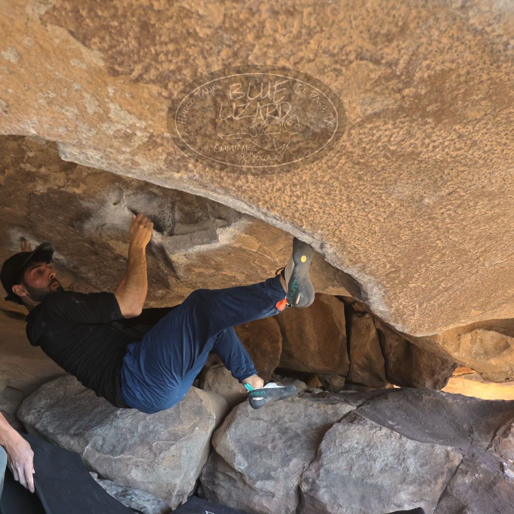 

Filename: SRM_20251110_1331193.jpg
Aperture: f/5.6
Shutter Speed: 1/500
Body: Canon EOS R6
Lens: Canon EF 16-35mm f/2.8 L