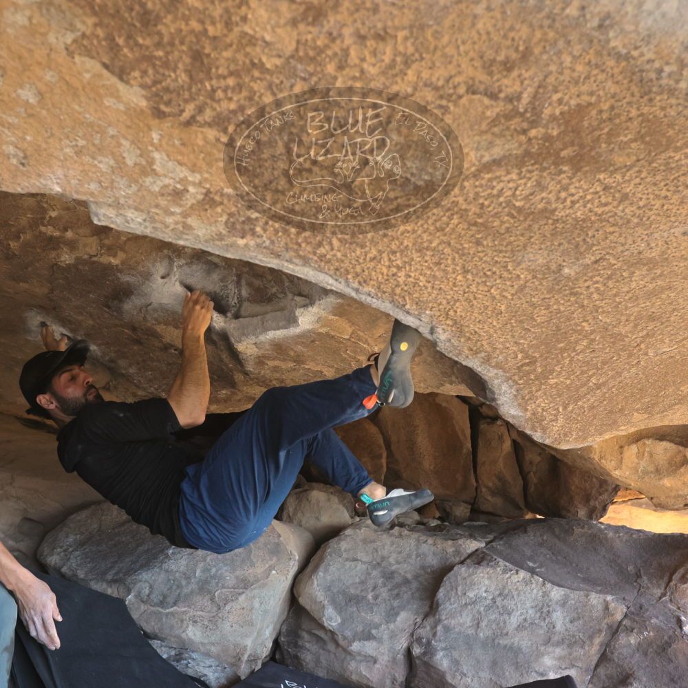 

Filename: SRM_20251110_1331194.jpg
Aperture: f/5.6
Shutter Speed: 1/500
Body: Canon EOS R6
Lens: Canon EF 16-35mm f/2.8 L