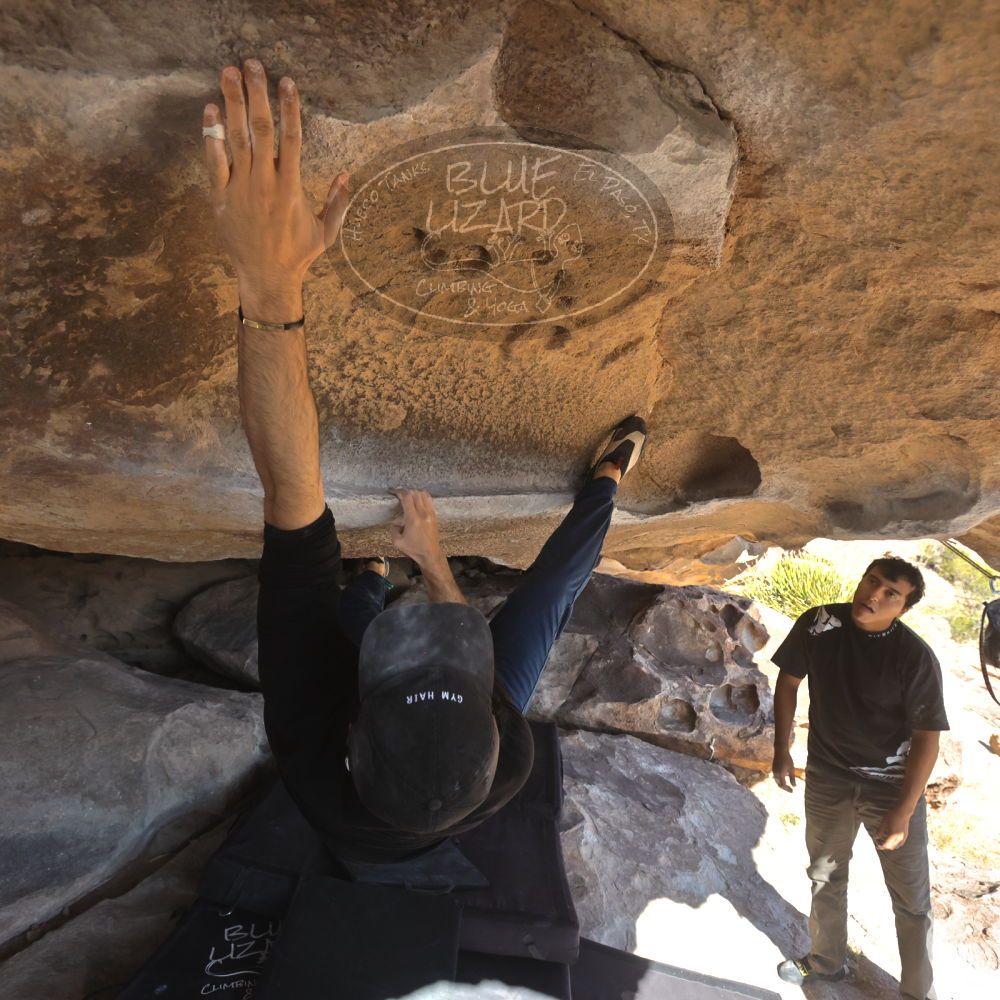 

Filename: SRM_20251110_1332070.jpg
Aperture: f/5.6
Shutter Speed: 1/500
Body: Canon EOS R6
Lens: Canon EF 16-35mm f/2.8 L