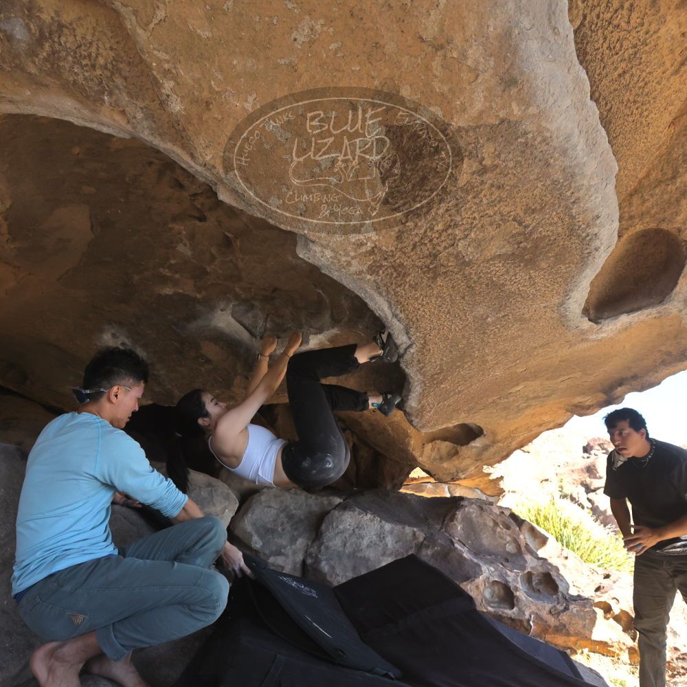 

Filename: SRM_20251110_1334340.jpg
Aperture: f/5.6
Shutter Speed: 1/500
Body: Canon EOS R6
Lens: Canon EF 16-35mm f/2.8 L