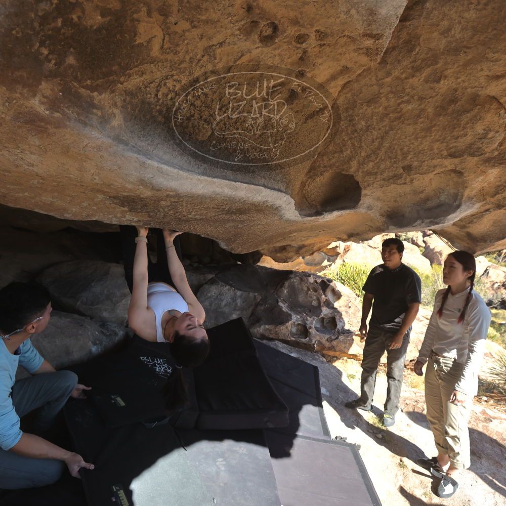 

Filename: SRM_20251110_1334520.jpg
Aperture: f/5.6
Shutter Speed: 1/500
Body: Canon EOS R6
Lens: Canon EF 16-35mm f/2.8 L