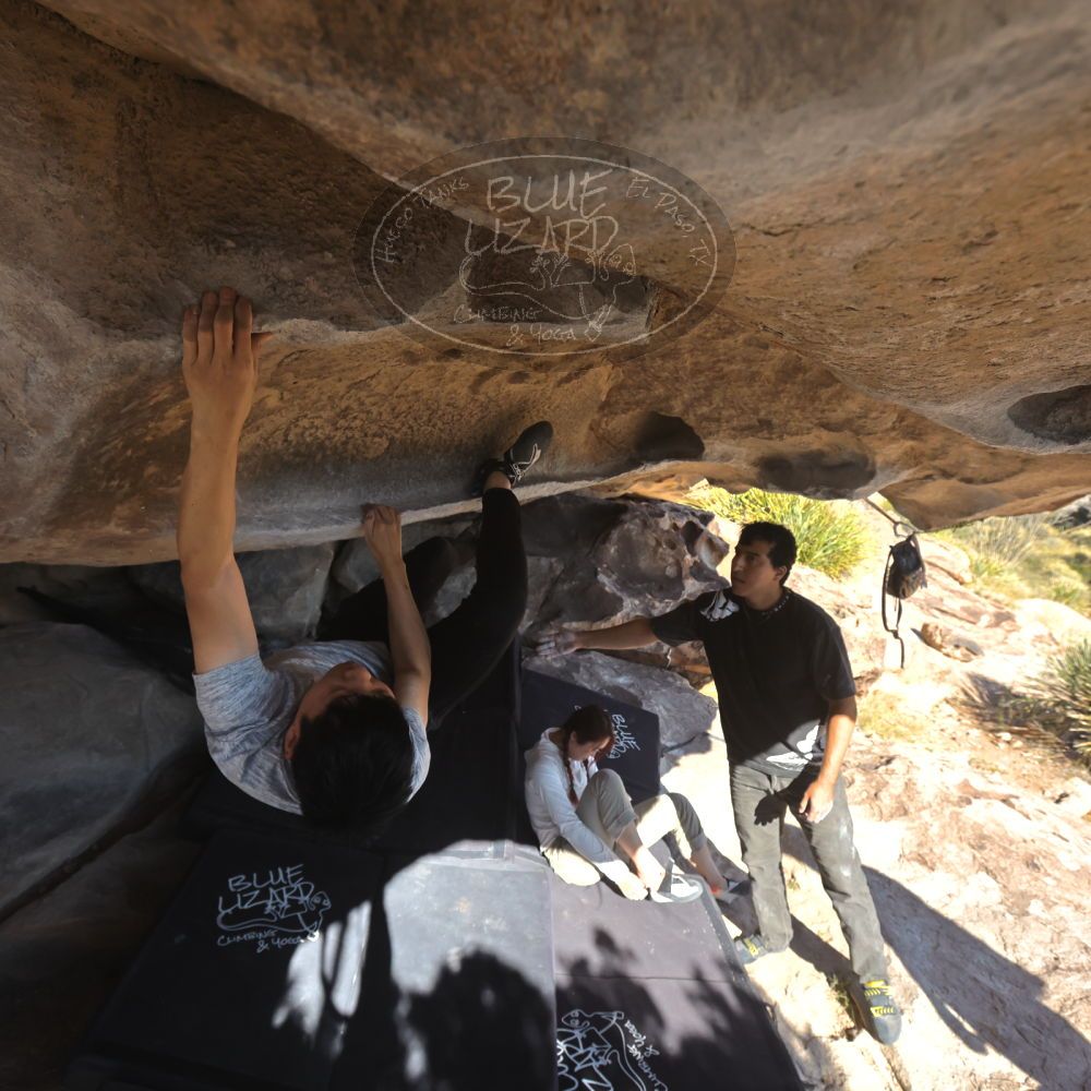 

Filename: SRM_20251110_1343010.jpg
Aperture: f/5.6
Shutter Speed: 1/500
Body: Canon EOS R6
Lens: Canon EF 16-35mm f/2.8 L