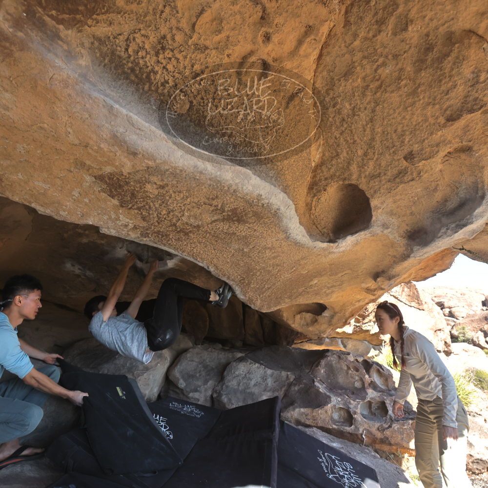 

Filename: SRM_20251110_1400310.jpg
Aperture: f/5.6
Shutter Speed: 1/500
Body: Canon EOS R6
Lens: Canon EF 16-35mm f/2.8 L