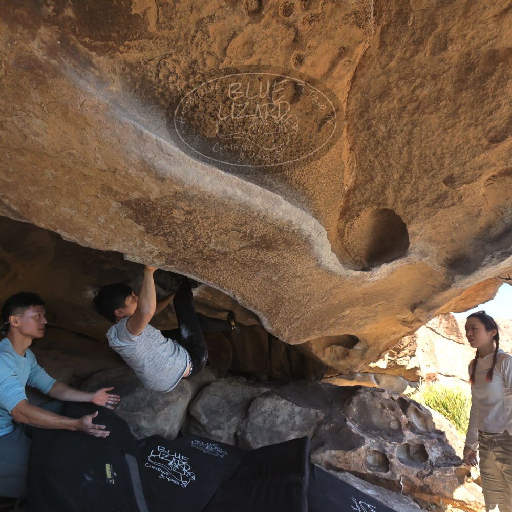 

Filename: SRM_20251110_1400420.jpg
Aperture: f/5.6
Shutter Speed: 1/500
Body: Canon EOS R6
Lens: Canon EF 16-35mm f/2.8 L