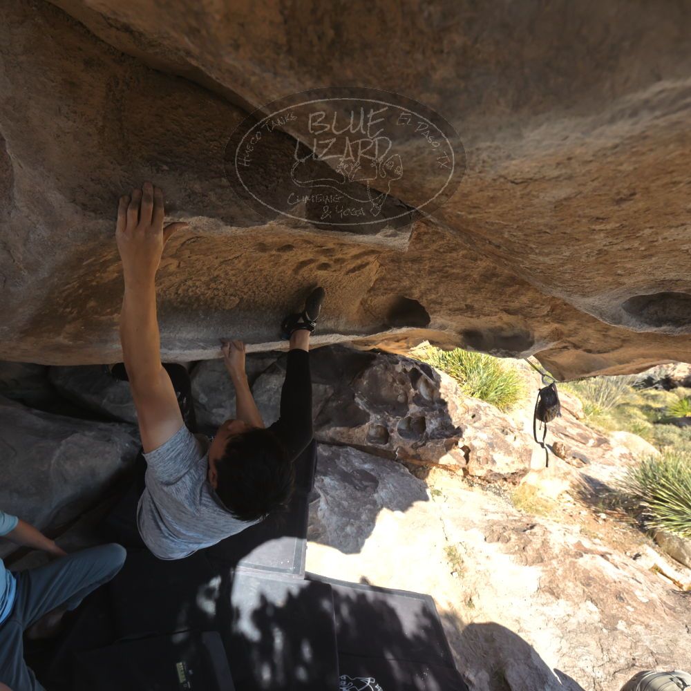 

Filename: SRM_20251110_1401010.jpg
Aperture: f/5.6
Shutter Speed: 1/500
Body: Canon EOS R6
Lens: Canon EF 16-35mm f/2.8 L