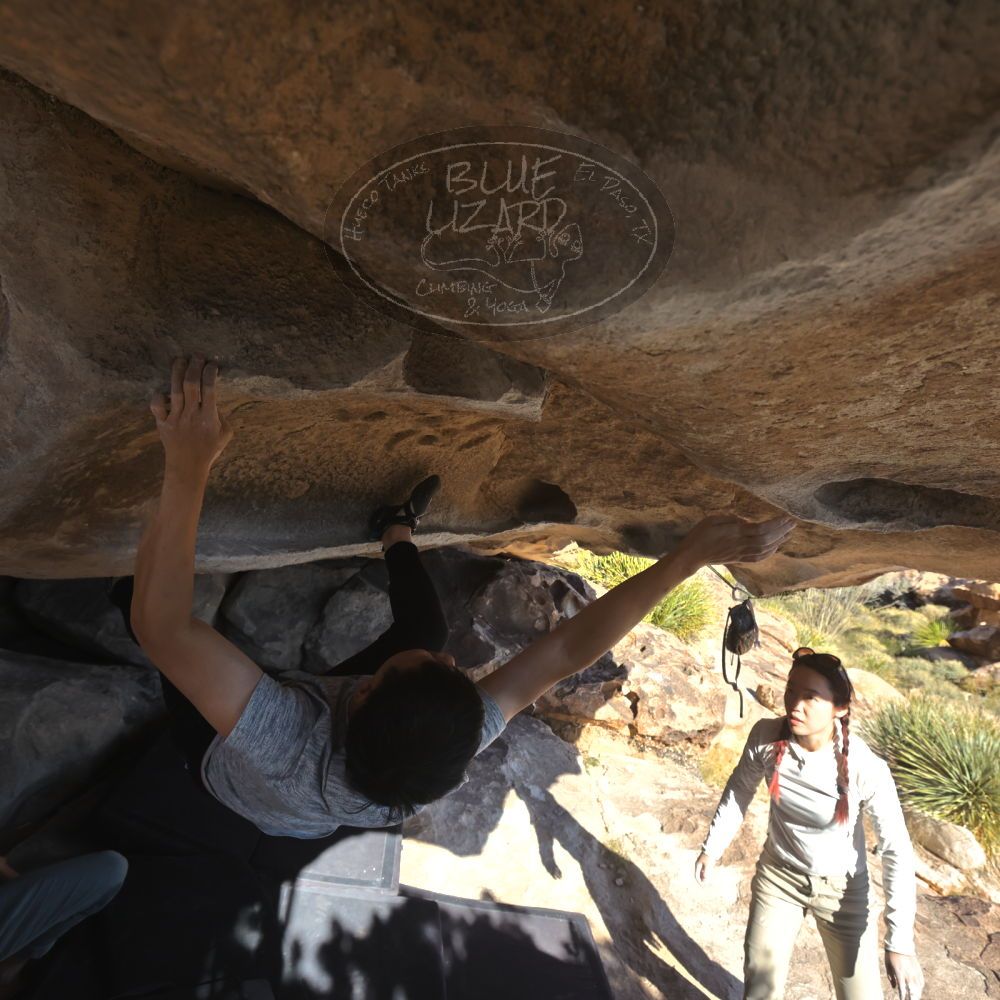 

Filename: SRM_20251110_1401040.jpg
Aperture: f/5.6
Shutter Speed: 1/500
Body: Canon EOS R6
Lens: Canon EF 16-35mm f/2.8 L