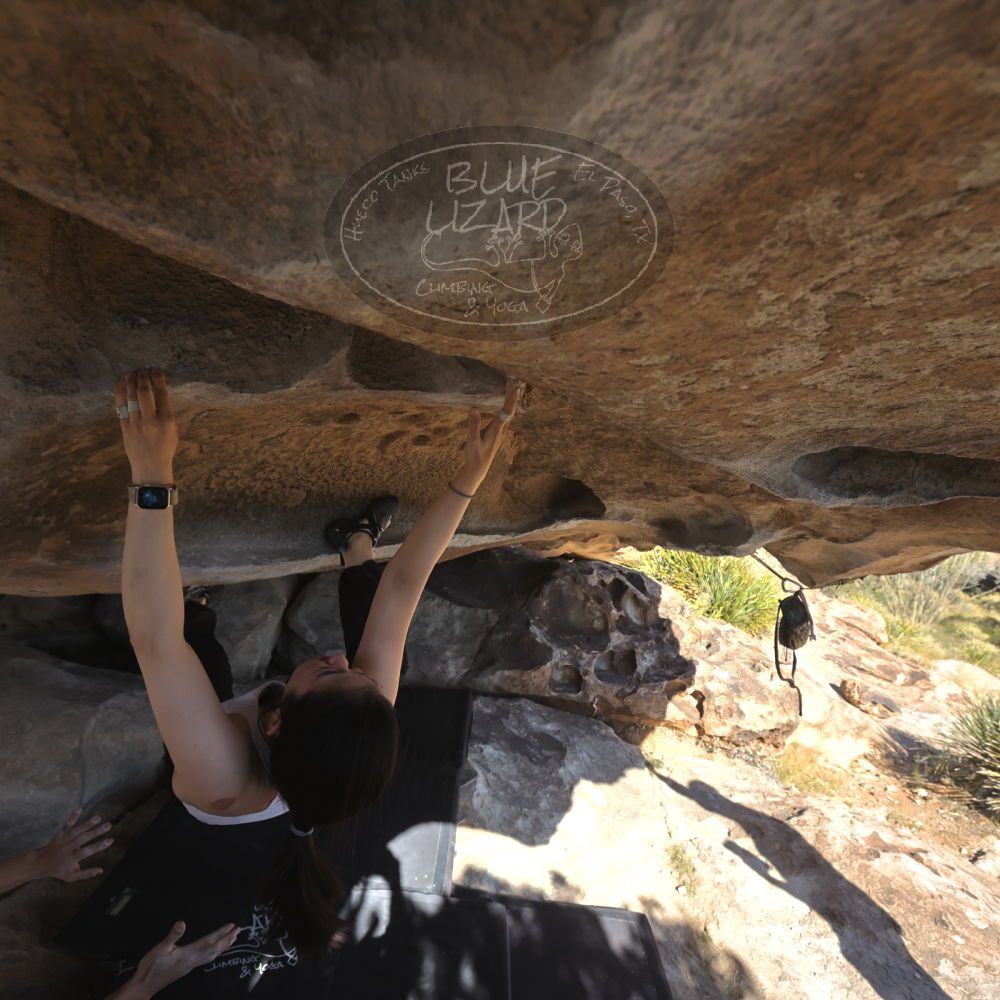 

Filename: SRM_20251110_1407400.jpg
Aperture: f/5.6
Shutter Speed: 1/500
Body: Canon EOS R6
Lens: Canon EF 16-35mm f/2.8 L