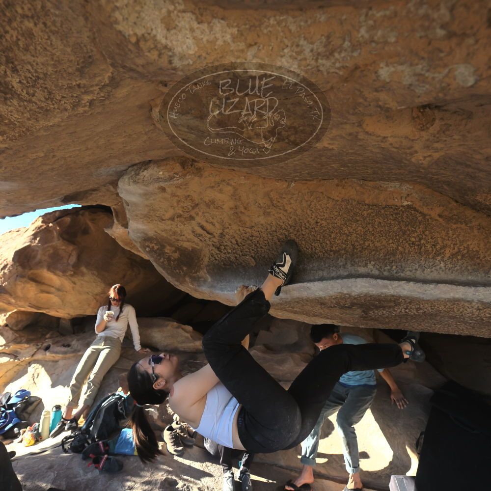 

Filename: SRM_20251110_1446290.jpg
Aperture: f/5.6
Shutter Speed: 1/500
Body: Canon EOS R6
Lens: Canon EF 16-35mm f/2.8 L