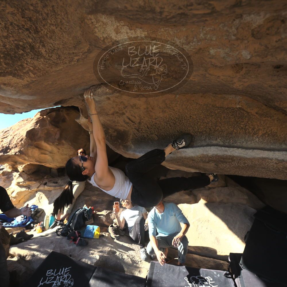 

Filename: SRM_20251110_1446350.jpg
Aperture: f/5.6
Shutter Speed: 1/500
Body: Canon EOS R6
Lens: Canon EF 16-35mm f/2.8 L