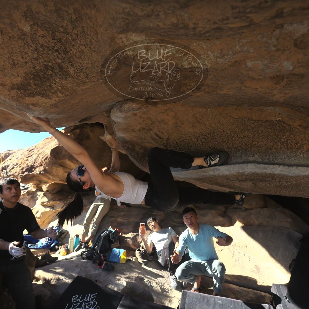 

Filename: SRM_20251110_1446410.jpg
Aperture: f/5.6
Shutter Speed: 1/500
Body: Canon EOS R6
Lens: Canon EF 16-35mm f/2.8 L