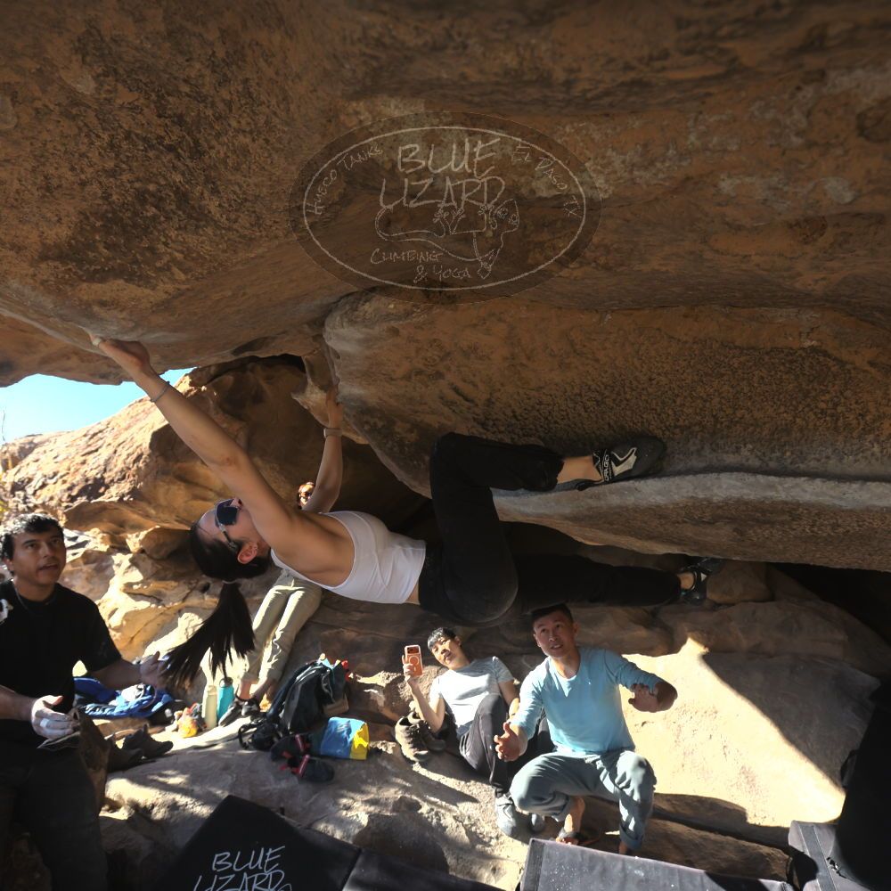 

Filename: SRM_20251110_1446411.jpg
Aperture: f/5.6
Shutter Speed: 1/500
Body: Canon EOS R6
Lens: Canon EF 16-35mm f/2.8 L