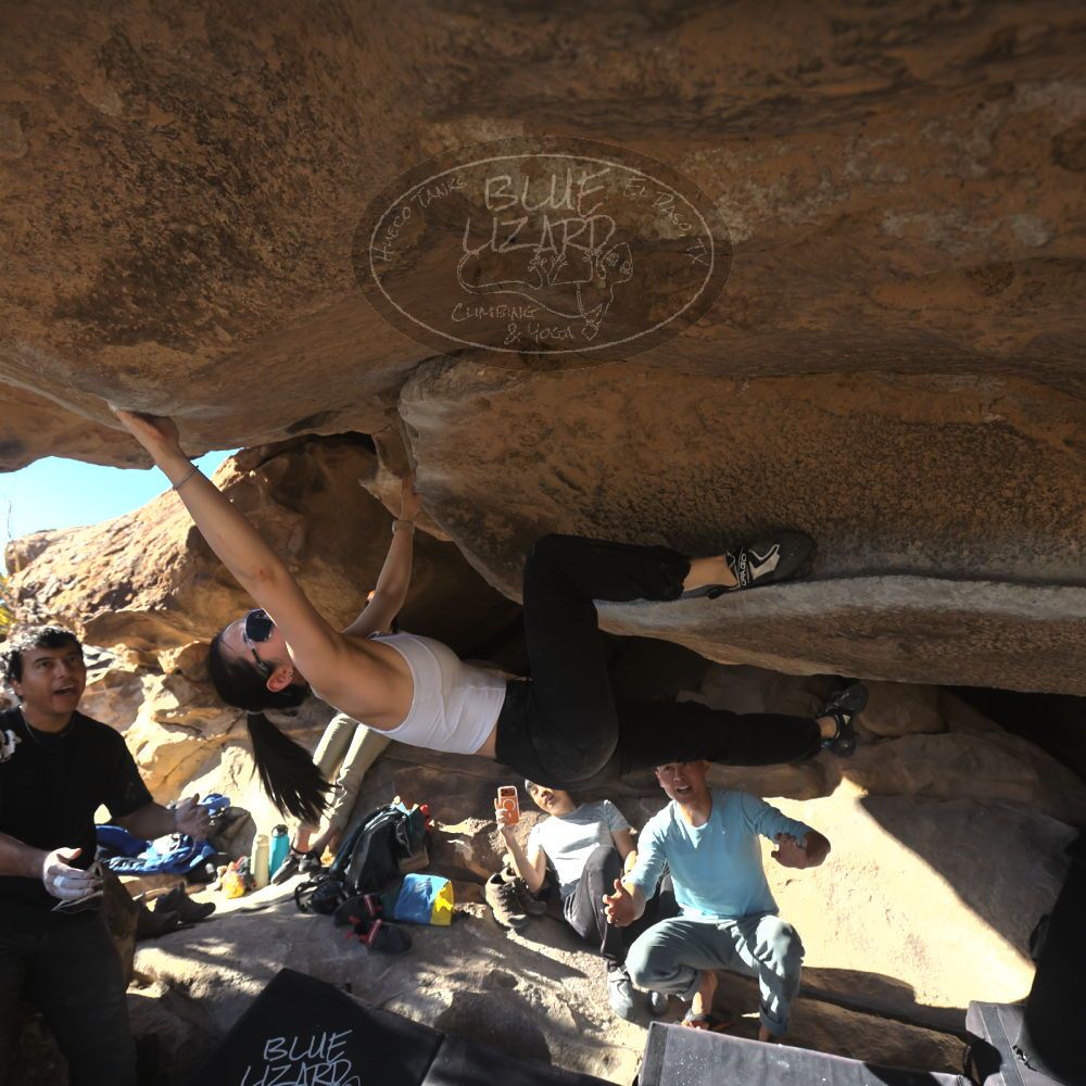 

Filename: SRM_20251110_1446412.jpg
Aperture: f/5.6
Shutter Speed: 1/500
Body: Canon EOS R6
Lens: Canon EF 16-35mm f/2.8 L