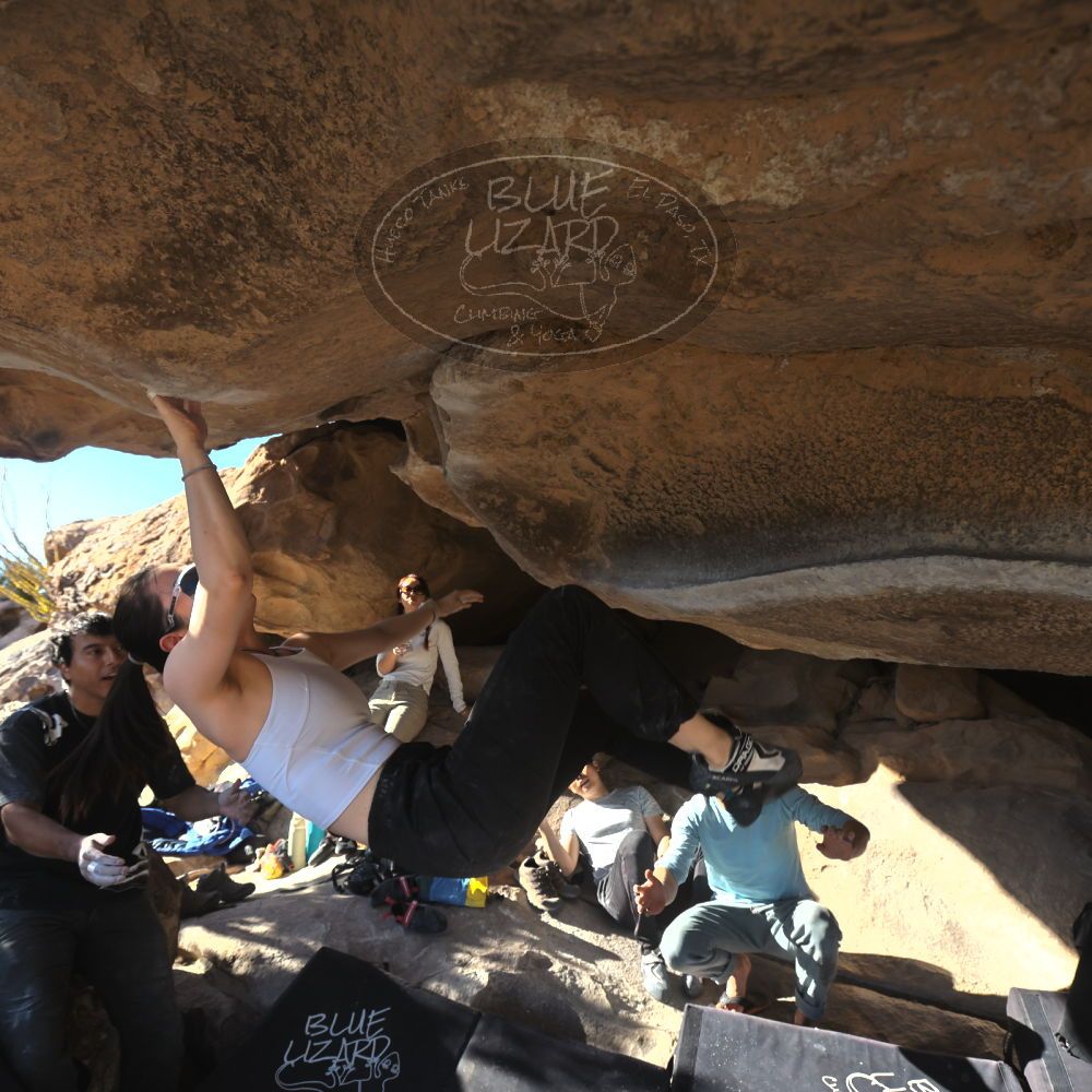 

Filename: SRM_20251110_1446413.jpg
Aperture: f/5.6
Shutter Speed: 1/500
Body: Canon EOS R6
Lens: Canon EF 16-35mm f/2.8 L