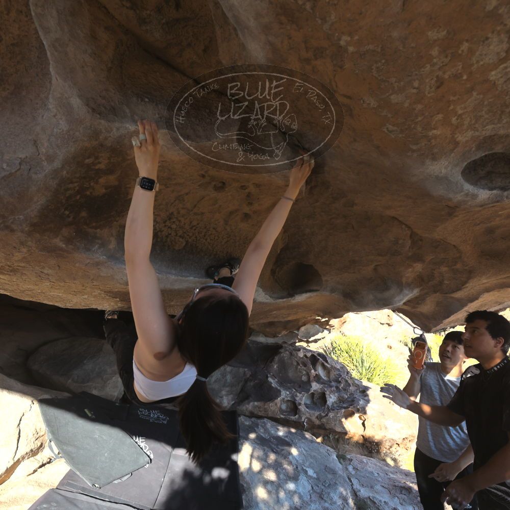 

Filename: SRM_20251110_1501361.jpg
Aperture: f/5.6
Shutter Speed: 1/640
Body: Canon EOS R6
Lens: Canon EF 16-35mm f/2.8 L