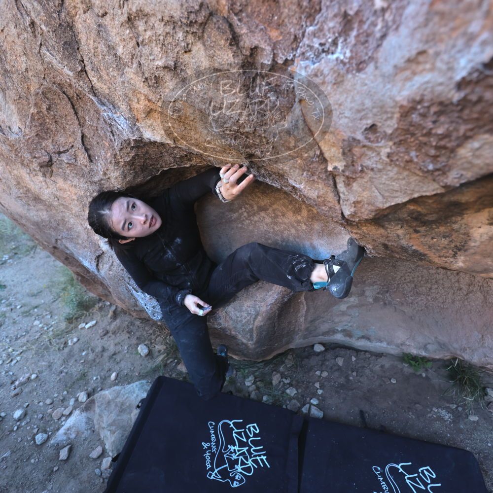 

Filename: SRM_20251110_1546060.jpg
Aperture: f/4.0
Shutter Speed: 1/400
Body: Canon EOS R6
Lens: Canon EF 16-35mm f/2.8 L