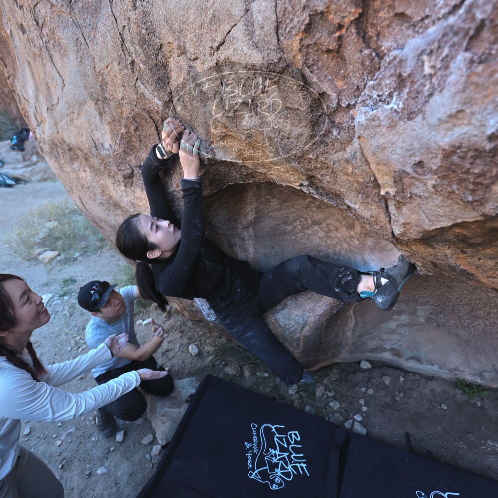 

Filename: SRM_20251110_1546330.jpg
Aperture: f/4.0
Shutter Speed: 1/400
Body: Canon EOS R6
Lens: Canon EF 16-35mm f/2.8 L