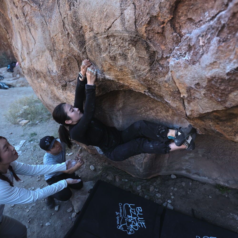 

Filename: SRM_20251110_1546400.jpg
Aperture: f/4.0
Shutter Speed: 1/400
Body: Canon EOS R6
Lens: Canon EF 16-35mm f/2.8 L