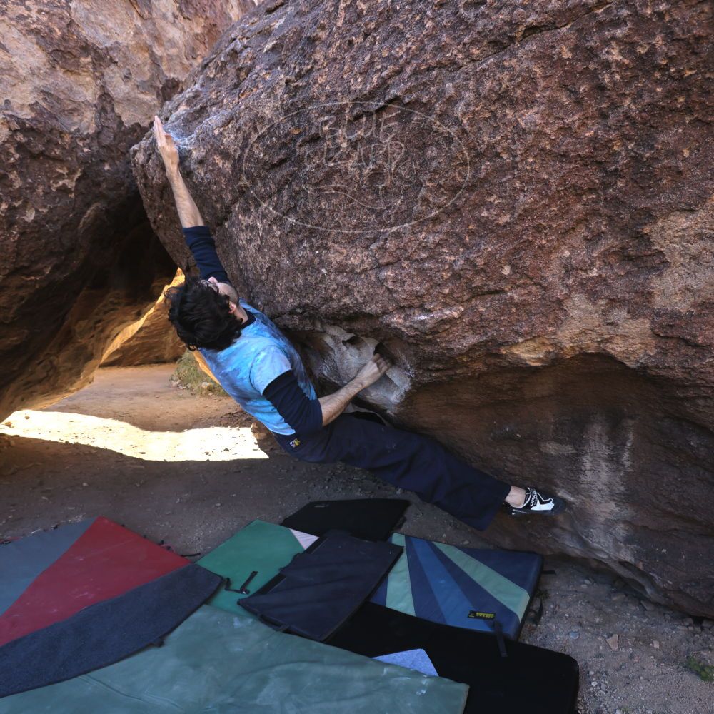 

Filename: SRM_20251124_1000180.jpg
Aperture: f/5.6
Shutter Speed: 1/500
Body: Canon EOS R6
Lens: Canon EF 16-35mm f/2.8 L