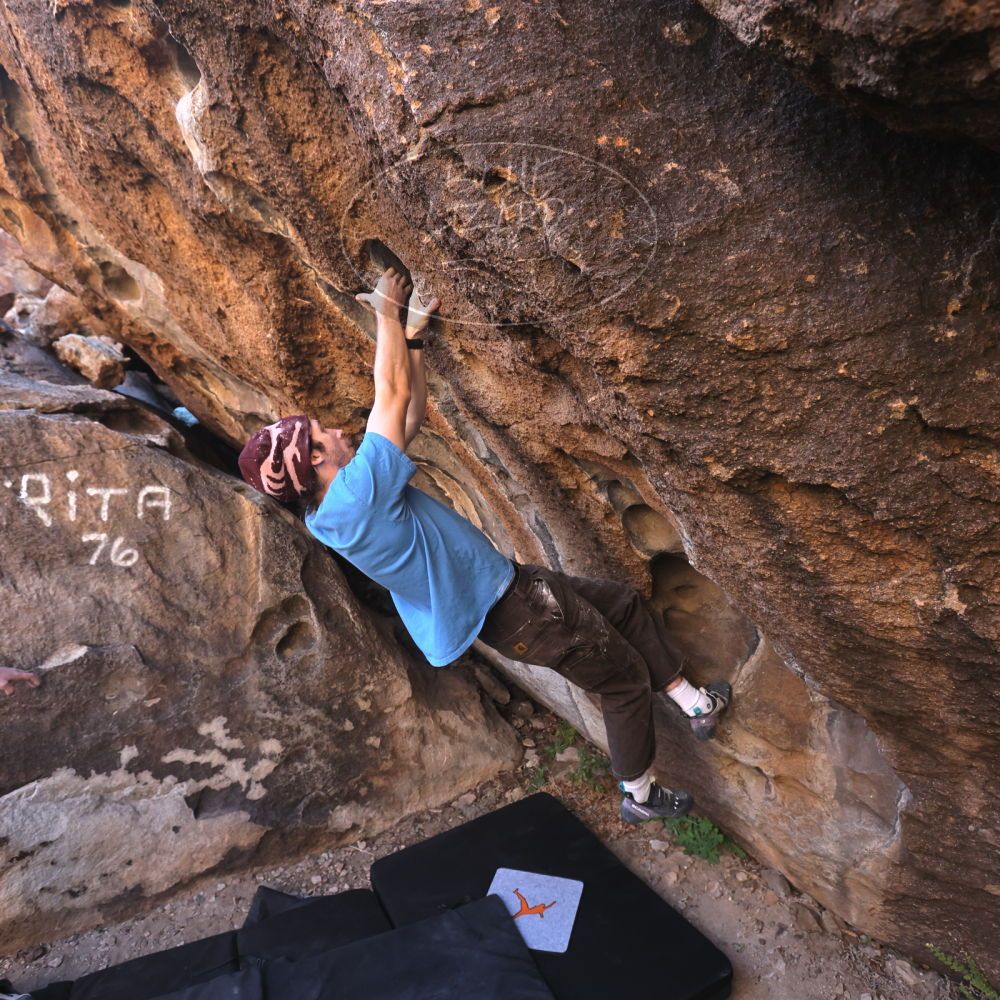 

Filename: SRM_20251124_1012310.jpg
Aperture: f/4.5
Shutter Speed: 1/500
Body: Canon EOS R6
Lens: Canon EF 16-35mm f/2.8 L