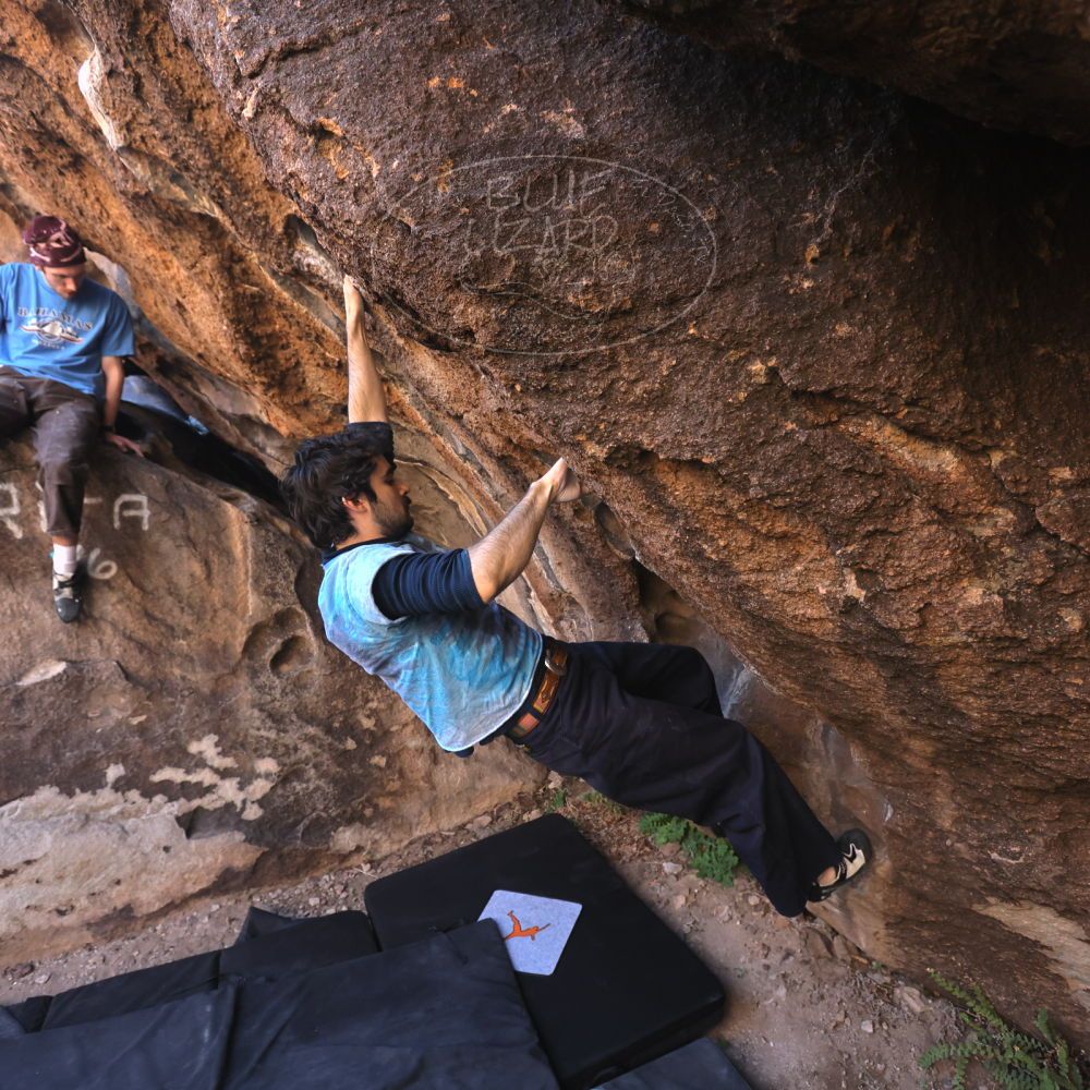 

Filename: SRM_20251124_1015140.jpg
Aperture: f/4.5
Shutter Speed: 1/500
Body: Canon EOS R6
Lens: Canon EF 16-35mm f/2.8 L