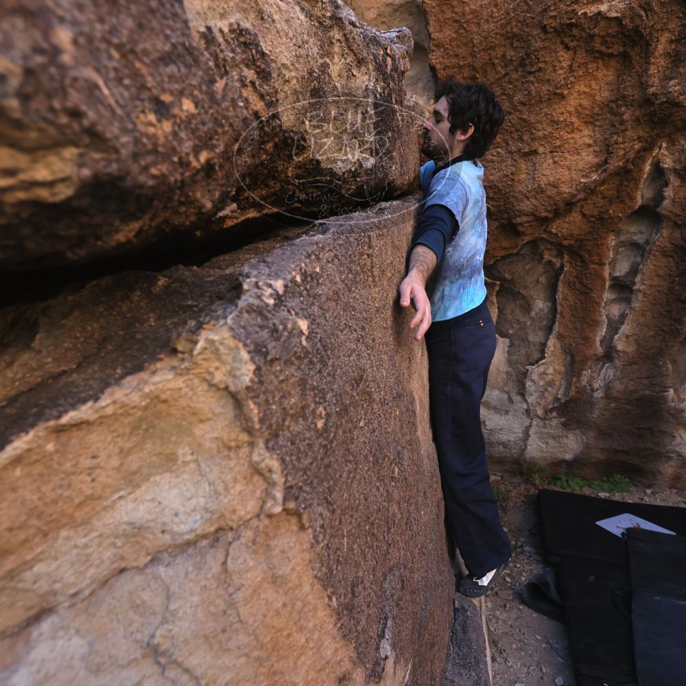 

Filename: SRM_20251124_1020270.jpg
Aperture: f/4.5
Shutter Speed: 1/500
Body: Canon EOS R6
Lens: Canon EF 16-35mm f/2.8 L