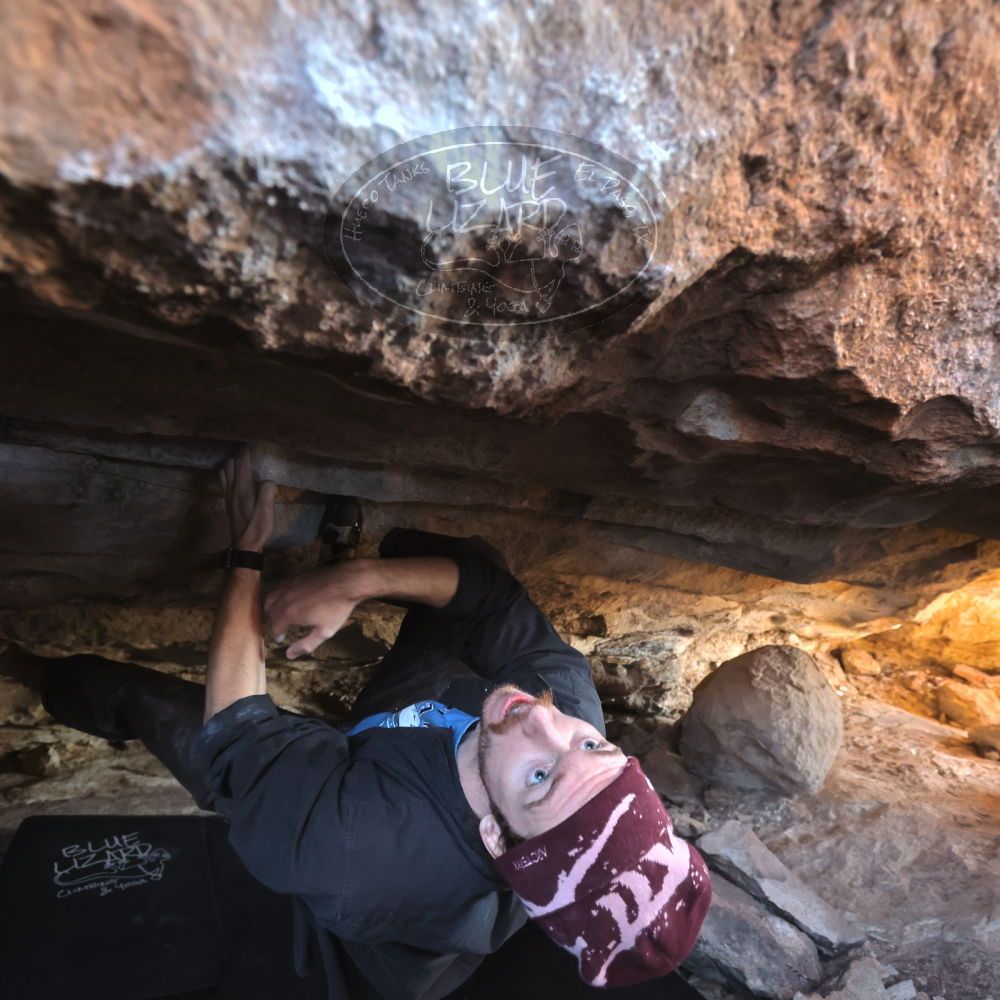 

Filename: SRM_20251124_1219300.jpg
Aperture: f/4.0
Shutter Speed: 1/400
Body: Canon EOS R6
Lens: Canon EF 16-35mm f/2.8 L