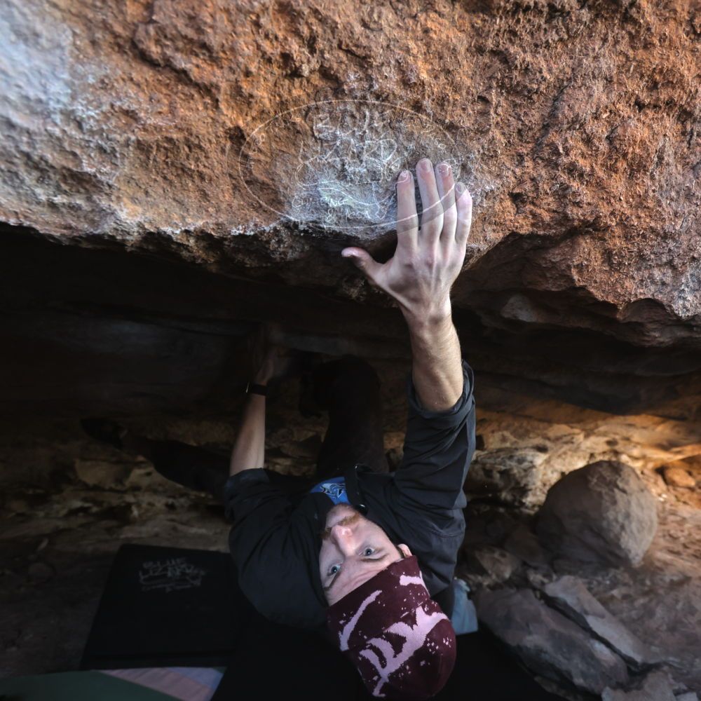 

Filename: SRM_20251124_1219301.jpg
Aperture: f/4.0
Shutter Speed: 1/400
Body: Canon EOS R6
Lens: Canon EF 16-35mm f/2.8 L