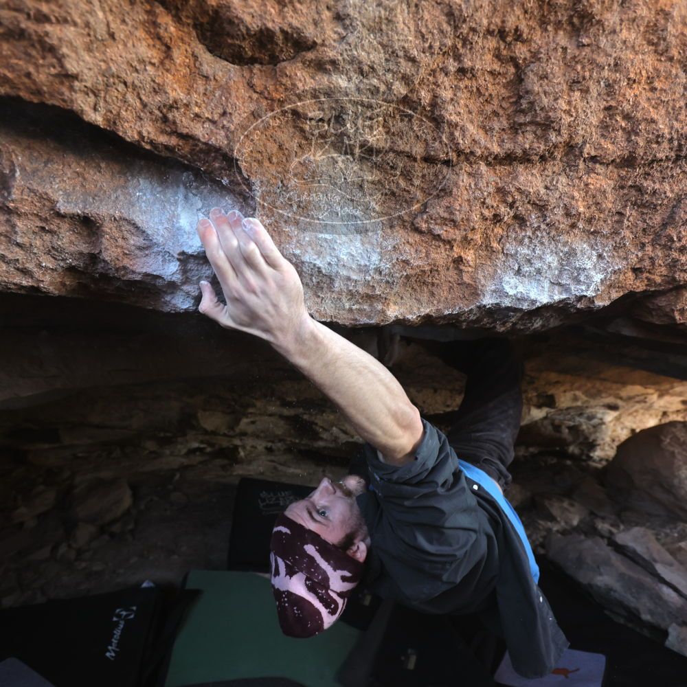 

Filename: SRM_20251124_1223540.jpg
Aperture: f/4.0
Shutter Speed: 1/400
Body: Canon EOS R6
Lens: Canon EF 16-35mm f/2.8 L