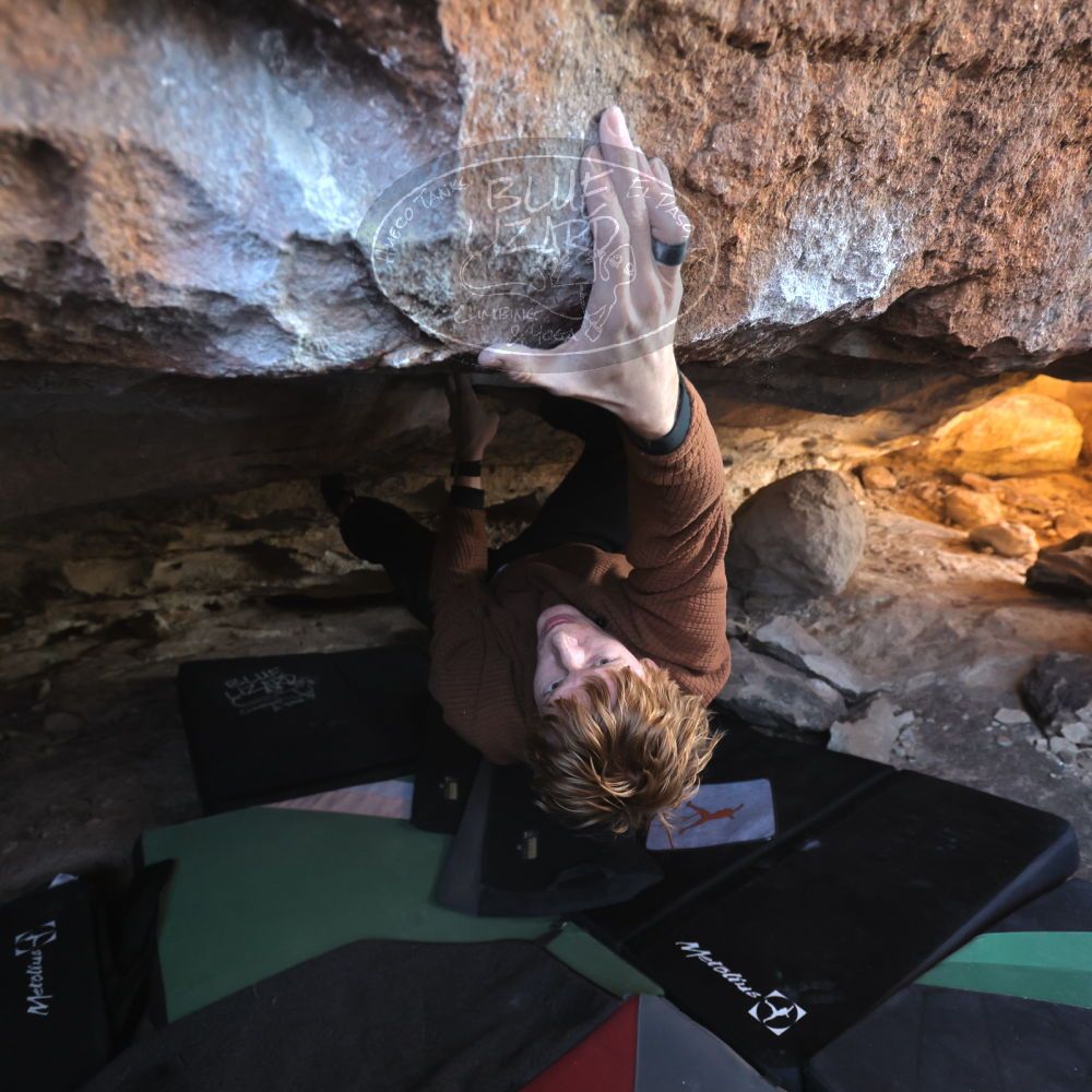 

Filename: SRM_20251124_1225250.jpg
Aperture: f/4.0
Shutter Speed: 1/400
Body: Canon EOS R6
Lens: Canon EF 16-35mm f/2.8 L