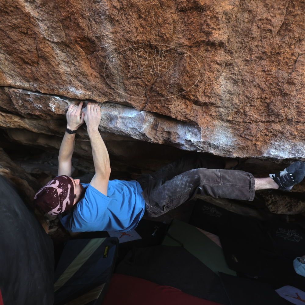 

Filename: SRM_20251124_1228080.jpg
Aperture: f/4.0
Shutter Speed: 1/400
Body: Canon EOS R6
Lens: Canon EF 16-35mm f/2.8 L