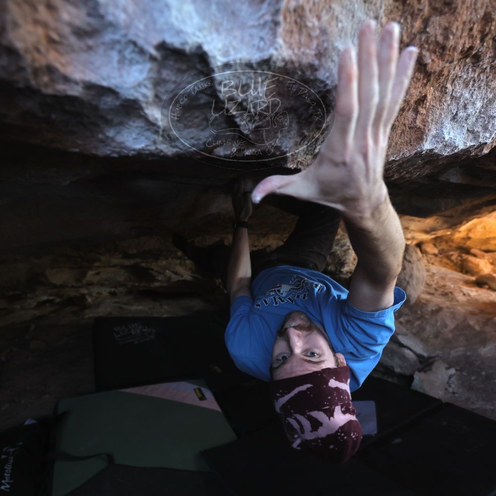 

Filename: SRM_20251124_1233060.jpg
Aperture: f/4.0
Shutter Speed: 1/400
Body: Canon EOS R6
Lens: Canon EF 16-35mm f/2.8 L